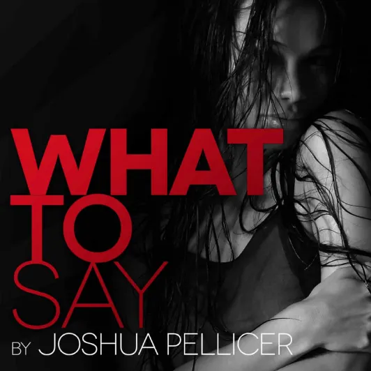 What To Say book cover